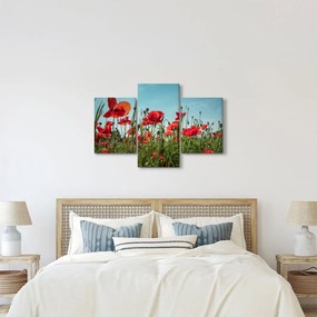 Kép - Pipacsos mező (90x60 cm)