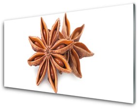 Akrilkép Csillagánizs Spice 100x50 cm