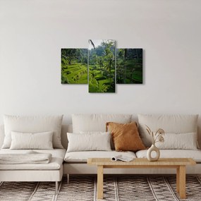 Kép a rizs teraszokról, Tegalalang, Bal (90x60 cm)