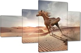 Képek 130x80 Galoppozó ló