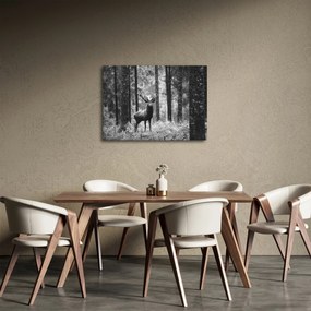 Kép - Szarvas az erdőben 2, fekete-fehér (70x50 cm)