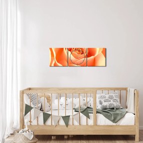 Kép - A Rózsák, barack színű (órával) (90x30 cm)