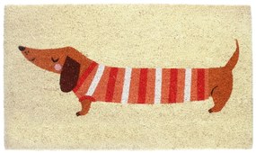 Kókuszrost lábtörlő 43x73 cm Sausage Dog – Rex London