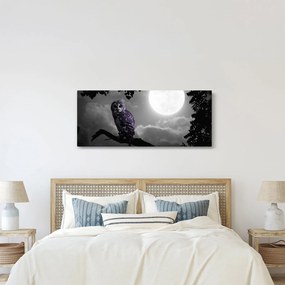 Kép - Éjjeli bagoly, lila bagoly (120x50 cm)