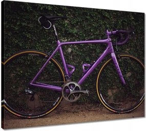 Vászonkép 50x40 Kerékpárok Két kerék