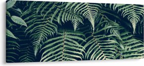 A páfrány levelek képe (120x50 cm)
