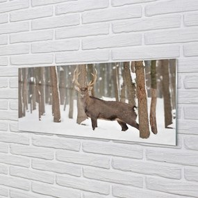 Üvegképek Deer téli erdőben 120x60cm
