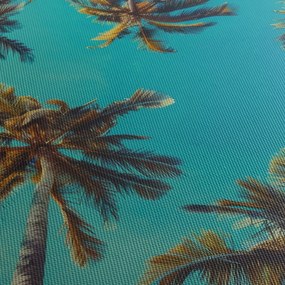 Kép - Magas pálmafák (90x60 cm)