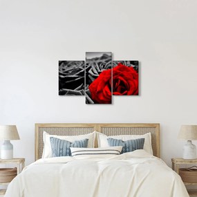 Kép - Rózsák (90x60 cm)
