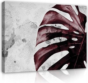 Vászonkép falikép bordó fehér monster levél 100 x 75