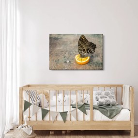 Pillangó képe (90x60 cm)