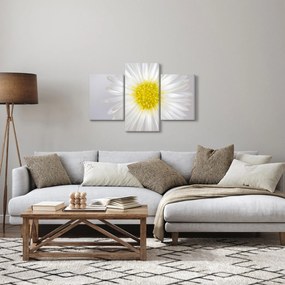 Kép - Margarita (90x60 cm)