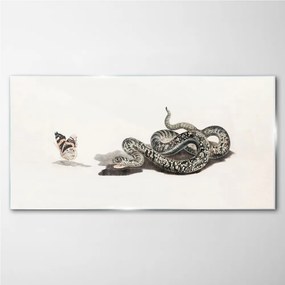 Üvegkép Rajz állat kígyó pillangó