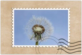 Poszterek 120x80 Pitypang Virág Virágok