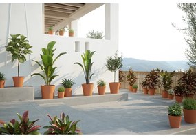 Terrakotta virágcserép ø 39 cm Manuel – Artevasi