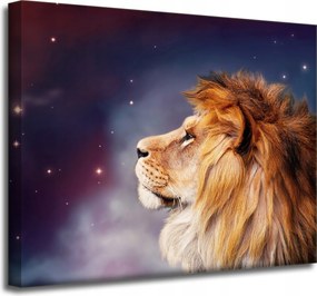 Vászonkép Oroszlán arca a csillagok között 50x40 cm Ideális ajándék