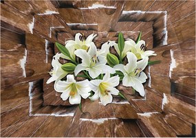 Fotótapéta Fehér liliom alagút fa perspektíva elegancia 250x175 +ragasztó