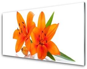 Üvegkép Orange növény virágai 100x50 cm