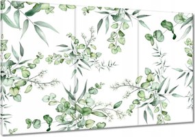 Vászonkép 120x80 Eucalyptus Floral virág