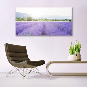 Vászonkép Lavender Field Mező Természet 125x50 cm