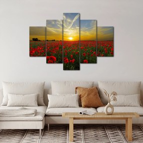 Egy kép a pipacs mezőről (150x105 cm)