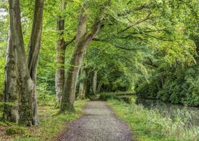 Poszter 42x29,7cm Ösvény a Basingstoke csatorna mentén, Assaf Frank