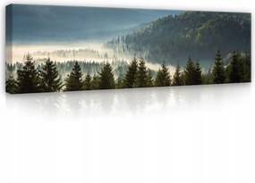 Vászonkép 145x45 Hegyi táj köd hajnal Kárpátok természet nyugalom csend