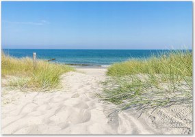 Üveg falpanel Tengerparti dűnék Ragasztó Ingyenes
