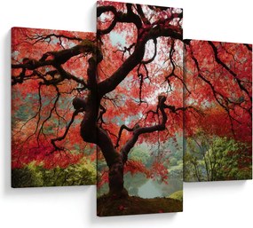 Red Japanese Maple, Portland, Oregon képe (90x60 cm)