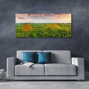 Vászonkép Jungle-erdő Természetvédelmi 100x50 cm