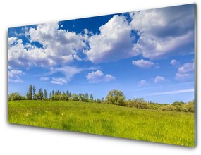 Modern üvegkép Réti perje Mennyország Landscape 125x50 cm