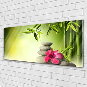 Akrilkép Virág bambusz Zen kövek 120x60 cm