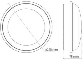 LED Kültéri mennyezeti lámpa DARA LED/20W/230V IP65 fekete
