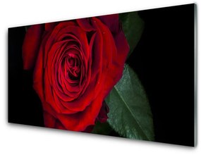Üvegkép Rose A Wall 120x60cm