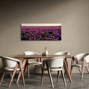 Kép - lila tulipánok rétje (120x50 cm)