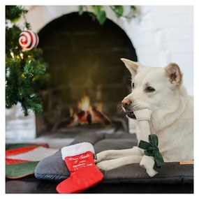 Játék kutyáknak Socks with surprise - P.L.A.Y.