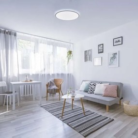 LED Dimmelhető mennyezeti lámpa LED/24W/230V + távirányító kerek