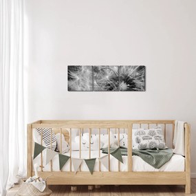 Kép - pitypang pehely (órával) (90x30 cm)