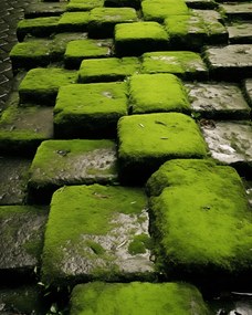 Poszter 40x50cm Zöld mozaik