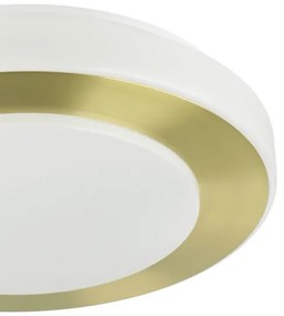 Eglo 900369 - LED Fürdőszobai mennyezeti lámpa CARPI LED/10,8W/230V IP44