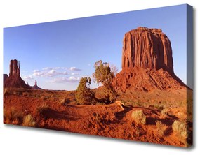 Canvas kép Fekvő sivatagi homok 100x50 cm