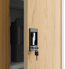 JAN H (195) cabinet white RAL9003 golden oak H1950*W900*D400