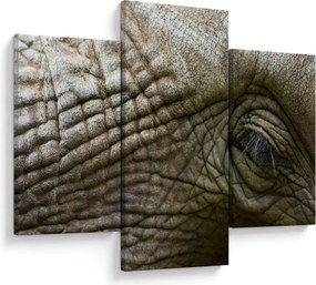 Kép - Közelkép az öreg elefánt szeméről (90x60 cm)