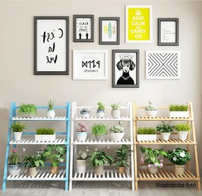 Összecsukható állvány, bambusz, NEPEL TYP 1 + ajándék