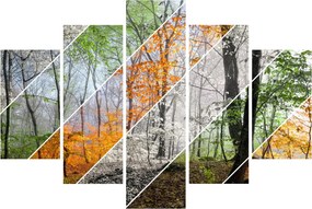 Kép - Változó évszakok (150x105 cm)