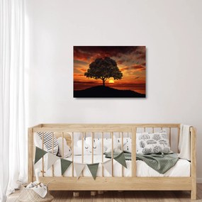 Fa képe naplementével (üvegen) (70x50 cm)
