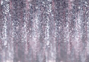 3D fotótapéta növény levelek 368 x 254