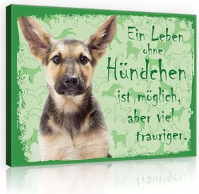 Vászonkép 80x60 Kiskutya kutya háziállat szerelem élet szomorú aranyos