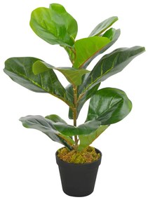 zöld, cserepes mű lantlevelű fikusz 45 cm