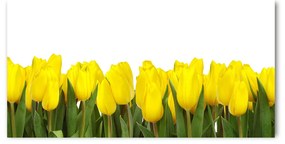 Akrilkép Sárga tulipánok oah-2665979